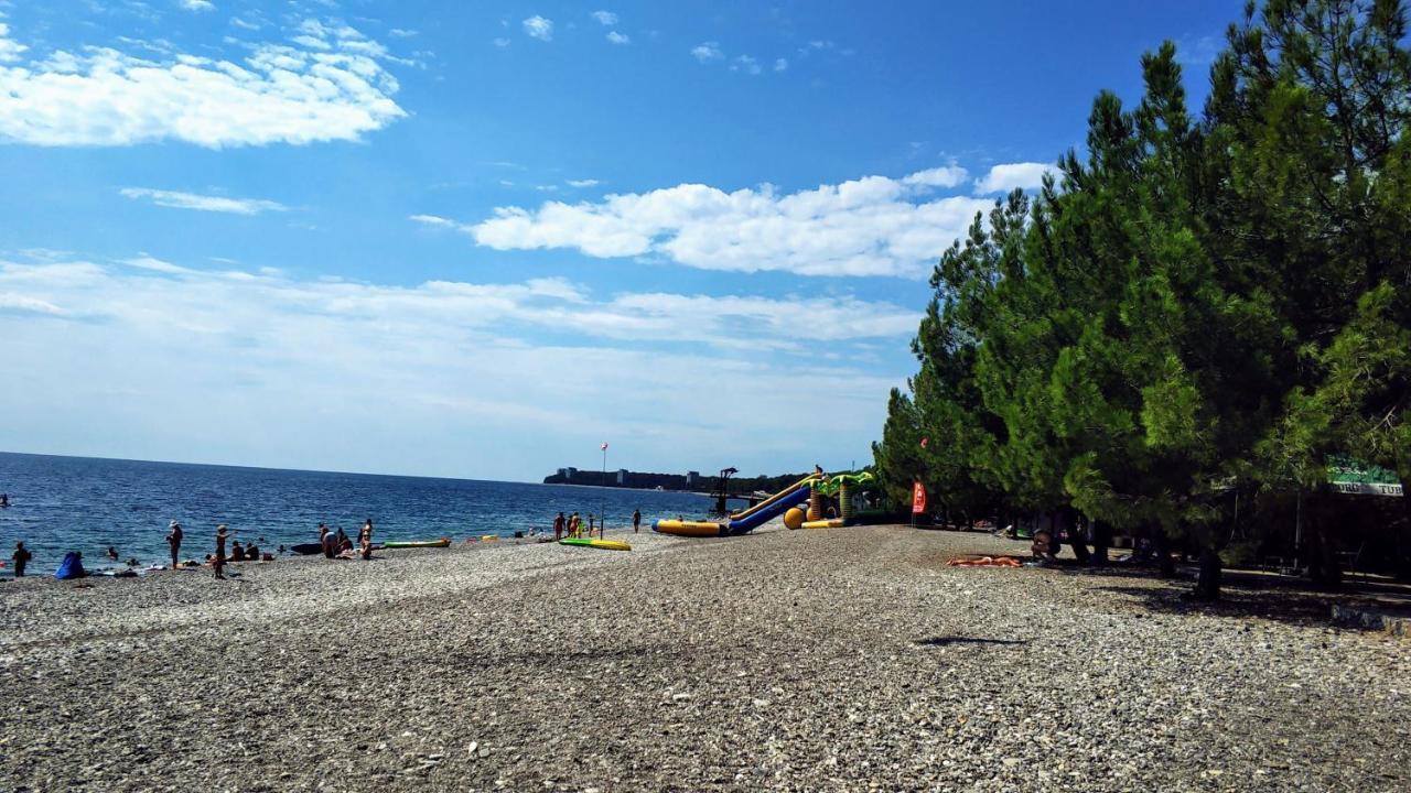 Ковчег Lidzava Luaran gambar